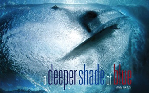 A Deeper Shade of Blue Premiere